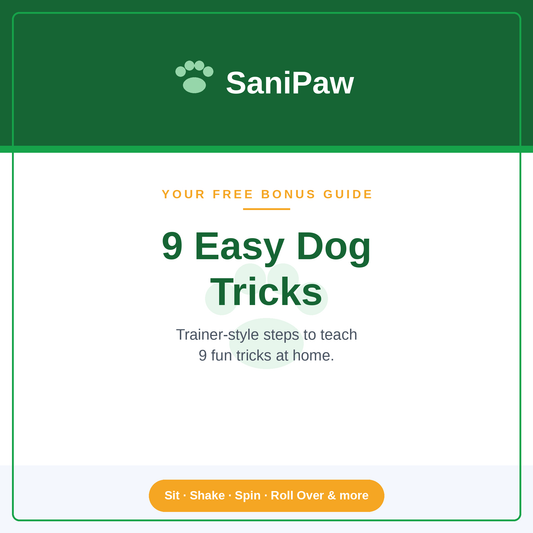 9 Easy Dog Tricks Guide