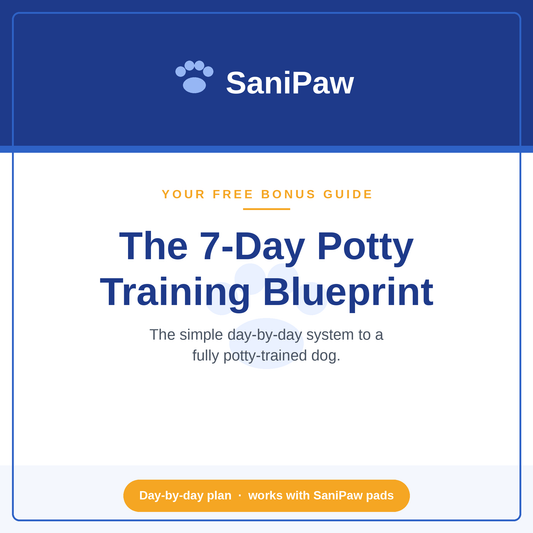 7-Day Potty Training Blueprint