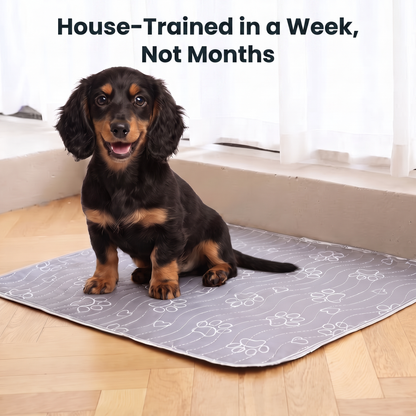 SaniPaws™ - Washable Pee Pads for Dogs 2.0