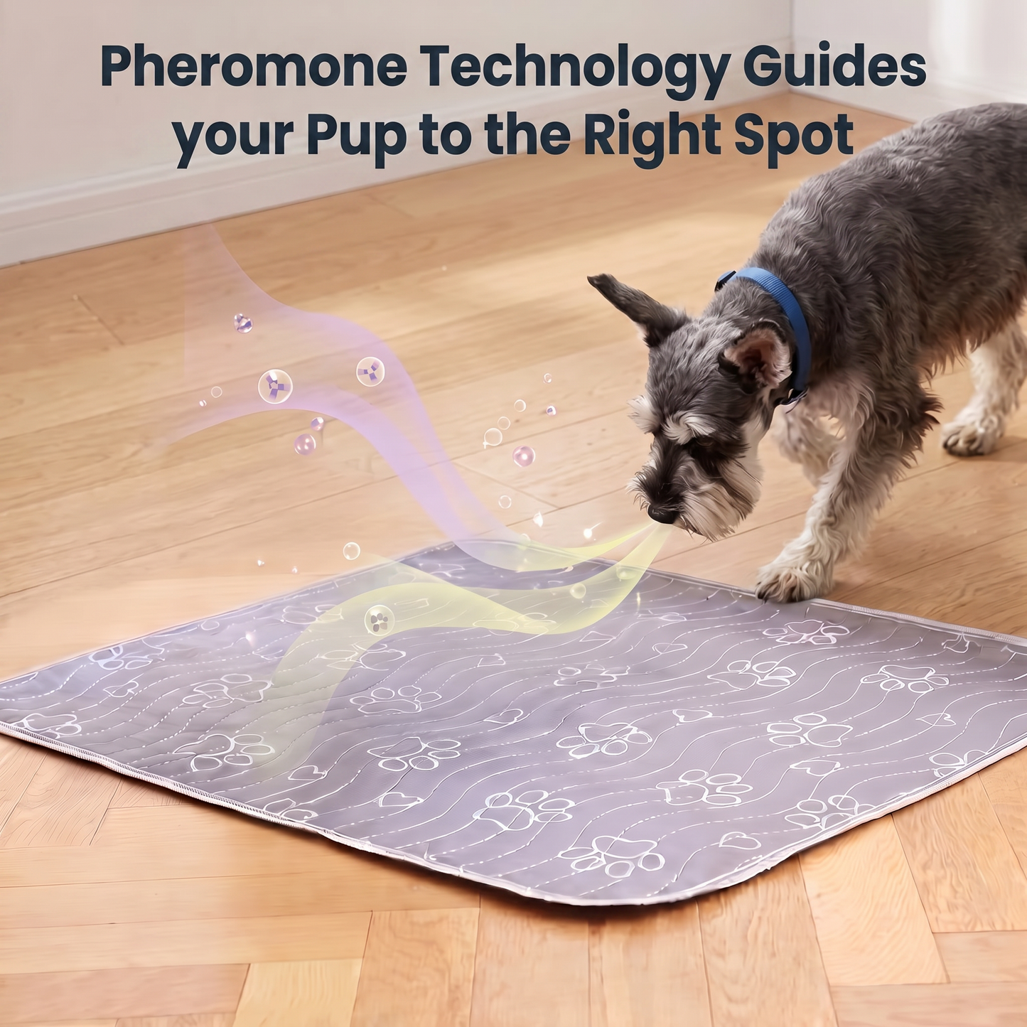 SaniPaws™ - Washable Pee Pads for Dogs 2.0